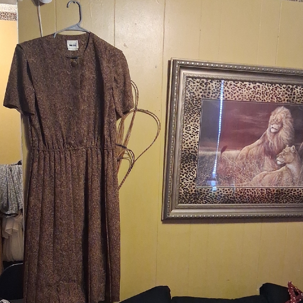 Leslie Fay Brown Dress